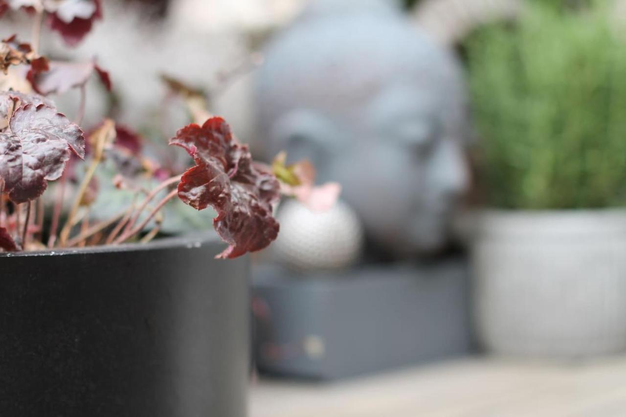 Exklusive Designferienwohnung The Backyard Tby 02 Trewir Zewnętrze zdjęcie